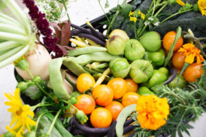 <br> Join The Stop’s Board of Directors and Help Feed Our Community