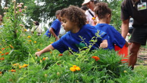 Child Hunger: A Crisis We Can’t Ignore